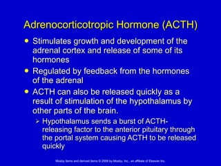 15. The Endocrine System | PPT