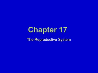 The Reproductive System 