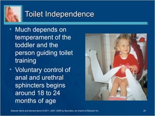Toilet IndependenceToilet Independence
• Much depends on
temperament of the
toddler and the
person guiding toilet
training
• Voluntary control of
anal and urethral
sphincters begins
around 18 to 24
months of age
20Elsevier items and derived items © 2011, 2007, 2006 by Saunders, an imprint of Elsevier Inc.
 