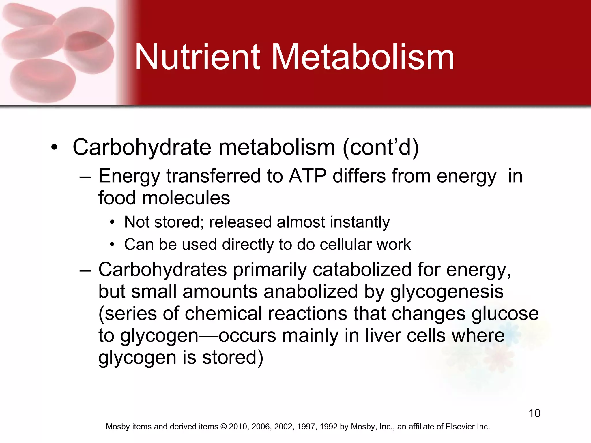 Nutrient Metabolism Carbohydrate metabolism (cont’d) Energy transferred to ATP differs from energy  in food molecules Not stored; released almost instantly Can be used directly to do cellular work Carbohydrates primarily catabolized for energy, but small amounts anabolized by glycogenesis (series of chemical reactions that changes glucose to glycogen—occurs mainly in liver cells where glycogen is stored) 
