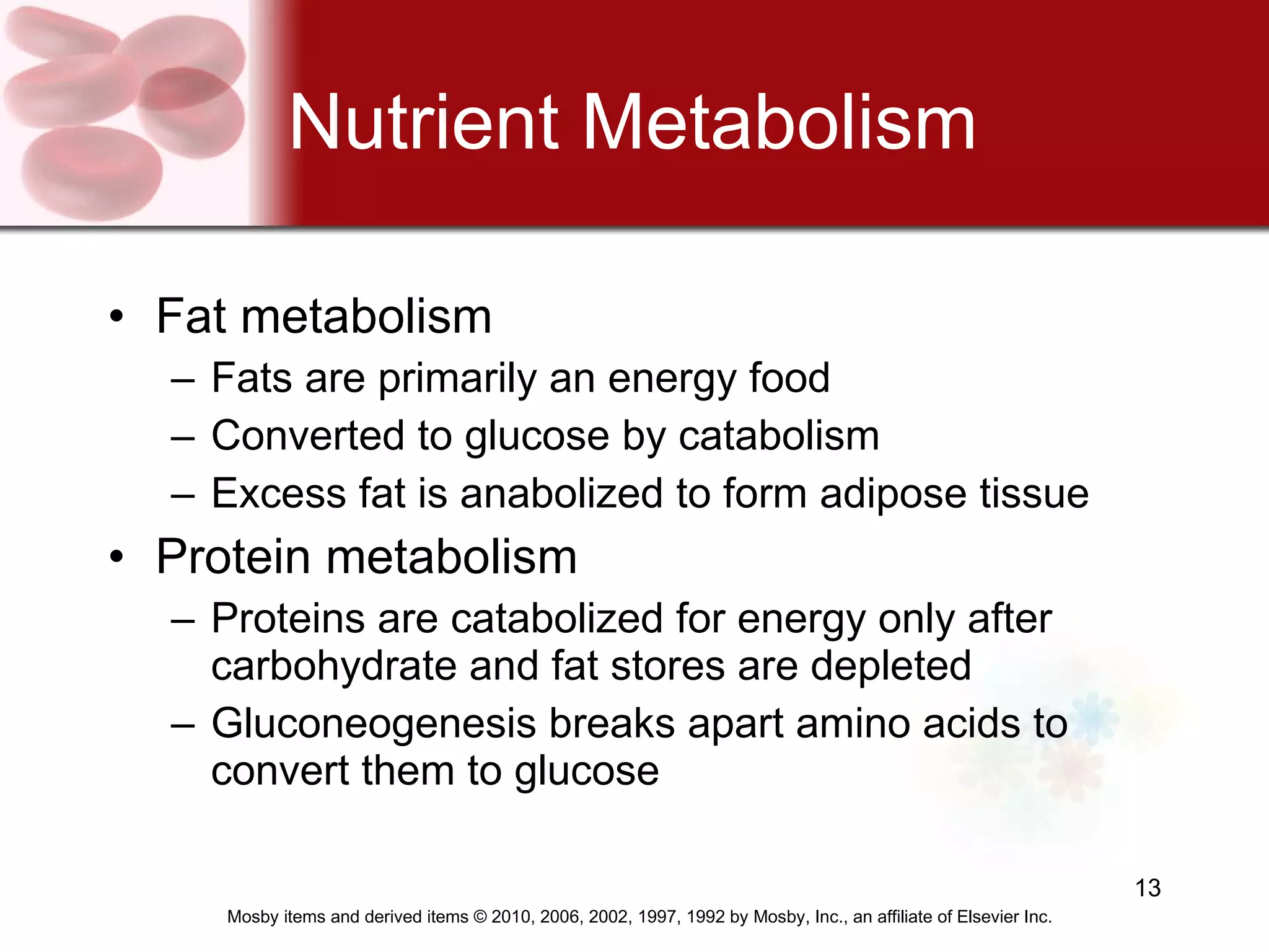Nutrient Metabolism Fat metabolism Fats are primarily an energy food Converted to glucose by catabolism  Excess fat is anabolized to form adipose tissue  Protein metabolism Proteins are catabolized for energy only after carbohydrate and fat stores are depleted Gluconeogenesis breaks apart amino acids to convert them to glucose   