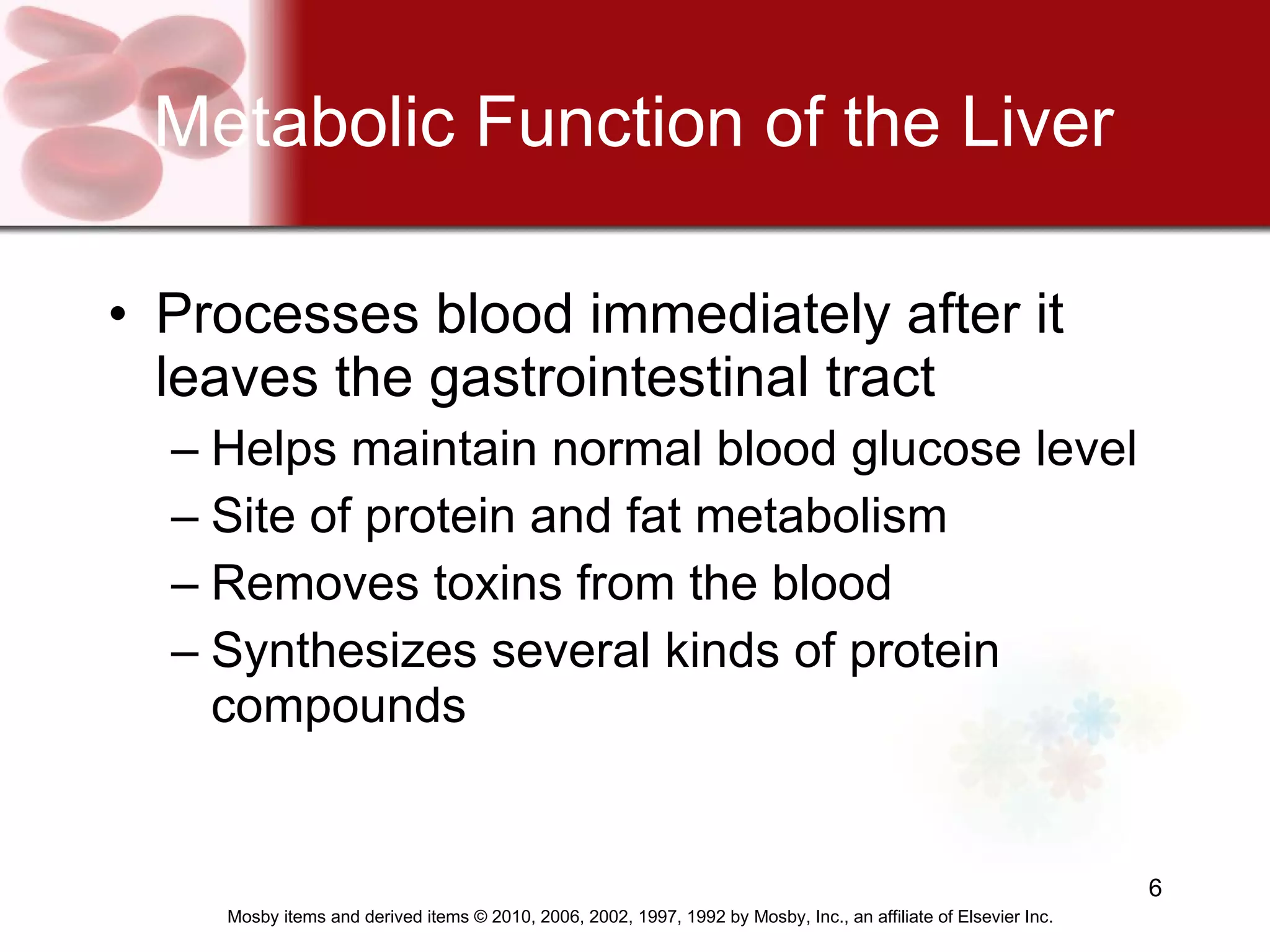 Metabolic Function of the Liver Processes blood immediately after it leaves the gastrointestinal tract Helps maintain normal blood glucose level Site of protein and fat metabolism Removes toxins from the blood Synthesizes several kinds of protein compounds   
