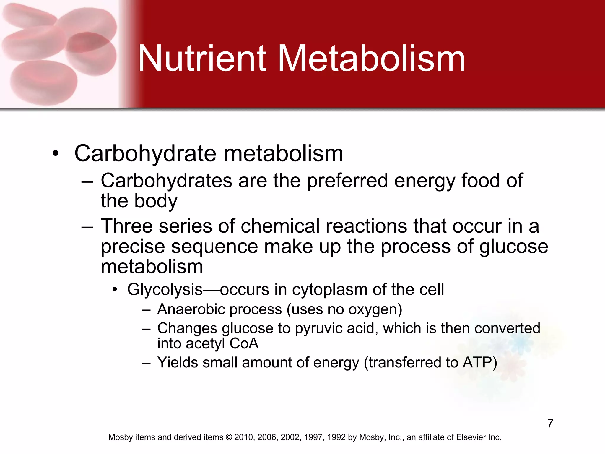 Nutrient Metabolism Carbohydrate metabolism   Carbohydrates are the preferred energy food of the body Three series of chemical reactions that occur in a precise sequence make up the process of glucose metabolism Glycolysis—occurs in cytoplasm of the cell Anaerobic process (uses no oxygen) Changes glucose to pyruvic acid, which is then converted into acetyl CoA Yields small amount of energy (transferred to ATP) 