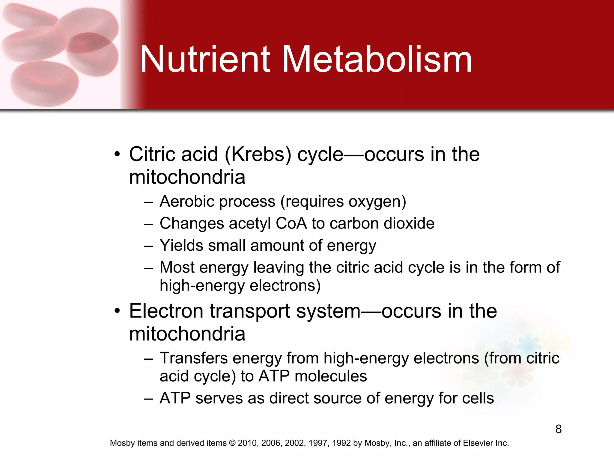 Nutrient Metabolism Citric acid (Krebs) cycle—occurs in the mitochondria Aerobic process (requires oxygen) Changes acetyl CoA to carbon dioxide Yields small amount of energy  Most energy leaving the citric acid cycle is in the form of  high-energy electrons) Electron transport system—occurs in the mitochondria Transfers energy from high-energy electrons (from citric acid cycle) to ATP molecules ATP serves as direct source of energy for cells 