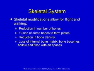 Skeletal System Skeletal modifications allow for flight and walking: Reduction in number of bones Fusion of some bones to form plates Reduction in bone density Loss of internal bone matrix; bone becomes hollow and filled with air spaces 