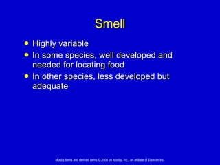 Smell Highly variable In some species, well developed and needed for locating food In other species, less developed but adequate 