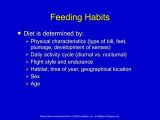 Feeding Habits Diet is determined by:   Physical characteristics (type of bill, feet, plumage, development of senses) Daily activity cycle (diurnal vs. nocturnal) Flight style and endurance Habitat, time of year, geographical location Sex Age 
