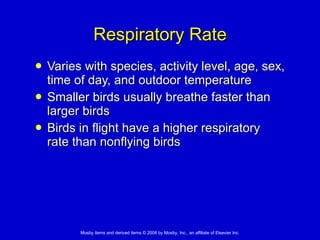 Respiratory Rate Varies with species, activity level, age, sex, time of day, and outdoor temperature  Smaller birds usually breathe faster than larger birds  Birds in flight have a higher respiratory rate than nonflying birds 