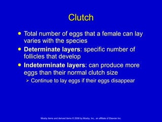 Clutch Total number of eggs that a female can lay varies with the species Determinate layers : specific number of follicles that develop  Indeterminate layers : can produce more eggs than their normal clutch size   Continue to lay eggs if their eggs disappear 