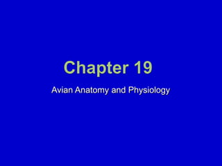 Avian Anatomy and Physiology 