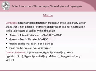 Macule Most Common Example Comprehensive Overview of Skin Anatomy and Lesions for Medical ...
