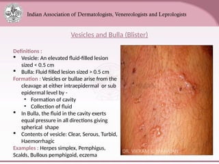 Comprehensive Overview of Skin Anatomy and Lesions for Medical ...