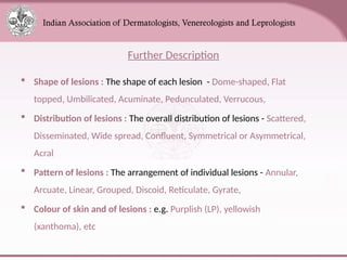 Grouped Lesion Pattern Comprehensive Overview of Skin Anatomy and Lesions for Medical ...