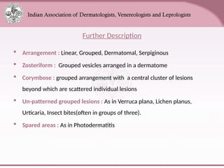 Comprehensive Overview of Skin Anatomy and Lesions for Medical ...