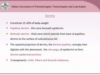 Chapter_01_Anatomy_of_Skin[1].pptx