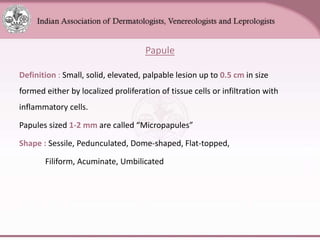 Chapter_01_Anatomy_of_Skin[1].pptx