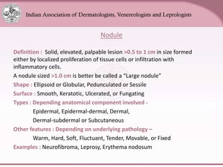 Chapter_01_Anatomy_of_Skin[1].pptx