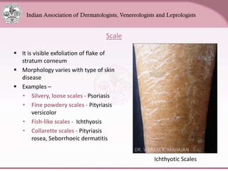 Chapter_01_Anatomy_of_Skin[1].pptx