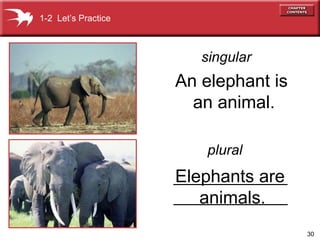 30
Elephants are
animals.
An elephant is
an animal.
singular
plural
1-2 Let’s Practice
 