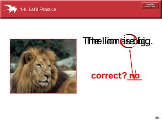86
The lion is big.
correct?___
The lion are big.
no√
1-8 Let’s Practice
 
