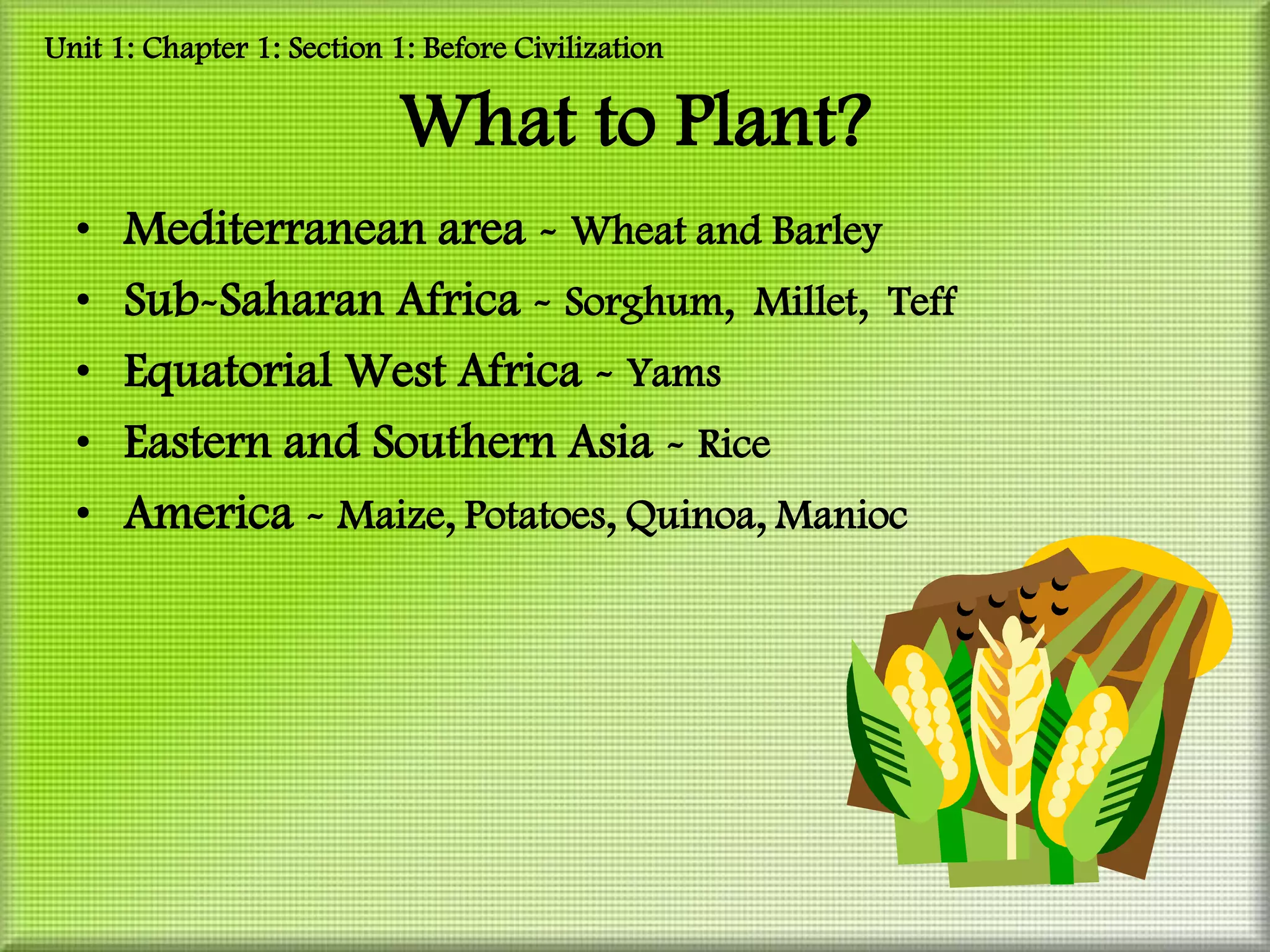 Unit 1: Chapter 1: Section 1: Before Civilization

                            What to Plant?
  •   Mediterranean area - Wheat and Barley
  •   Sub-Saharan Africa - Sorghum, Millet, Teff
  •   Equatorial West Africa - Yams
  •   Eastern and Southern Asia - Rice
  •   America - Maize, Potatoes, Quinoa, Manioc
 