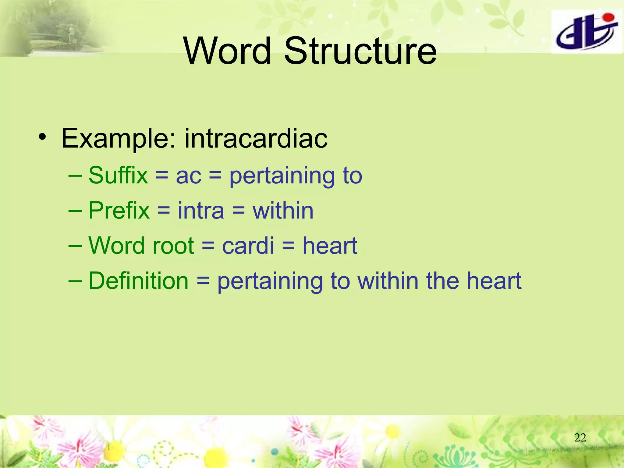Chapter01 wordbuildingrules Terminology | PPT