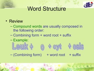 Chapter01 wordbuildingrules Terminology | PPT