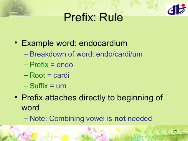 Chapter01 wordbuildingrules Terminology