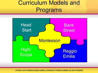 Curriculum Models and ProgramsHead StartBankStreetMontessoriHigh/ScopeReggioEmilia