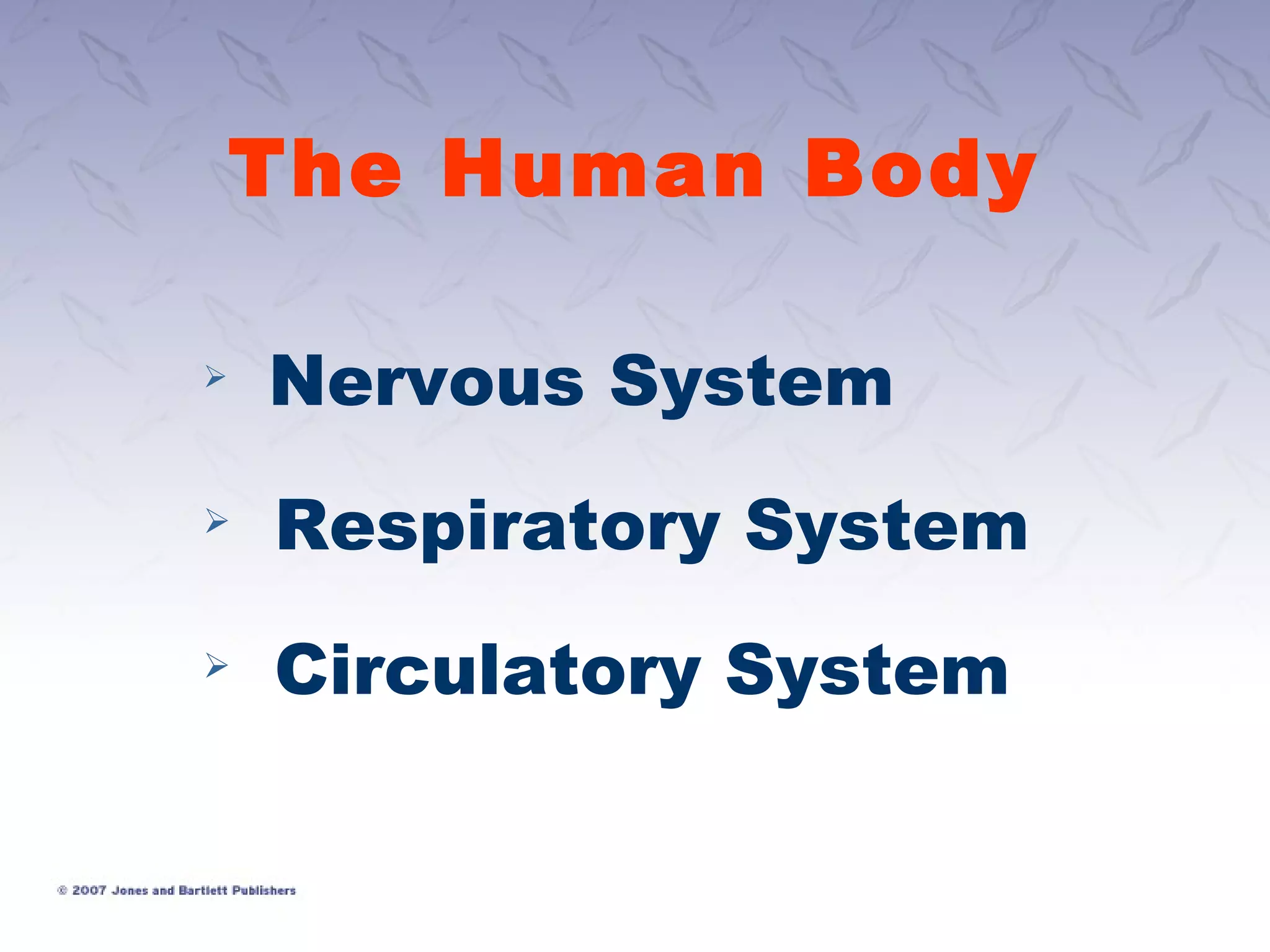 Mastering Cpr: Understanding The Crucial Sam Technique - xesbj25