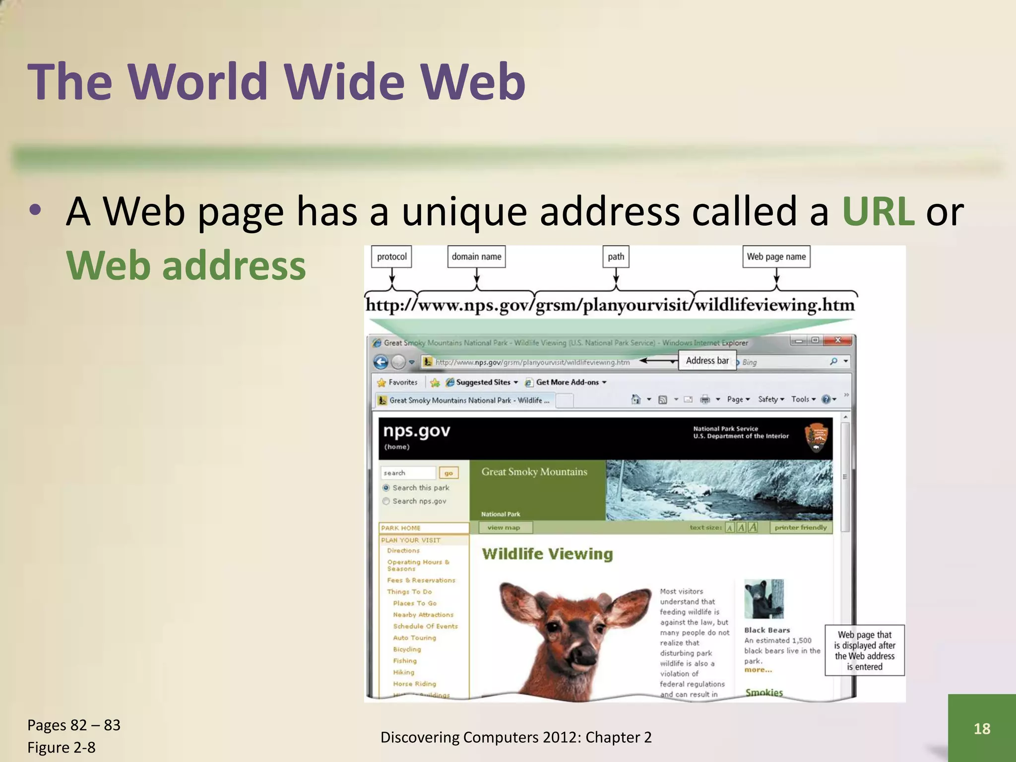 The World Wide Web
• A Web page has a unique address called a URL or
Web address
Discovering Computers 2012: Chapter 2
18Pages 82 – 83
Figure 2-8
 