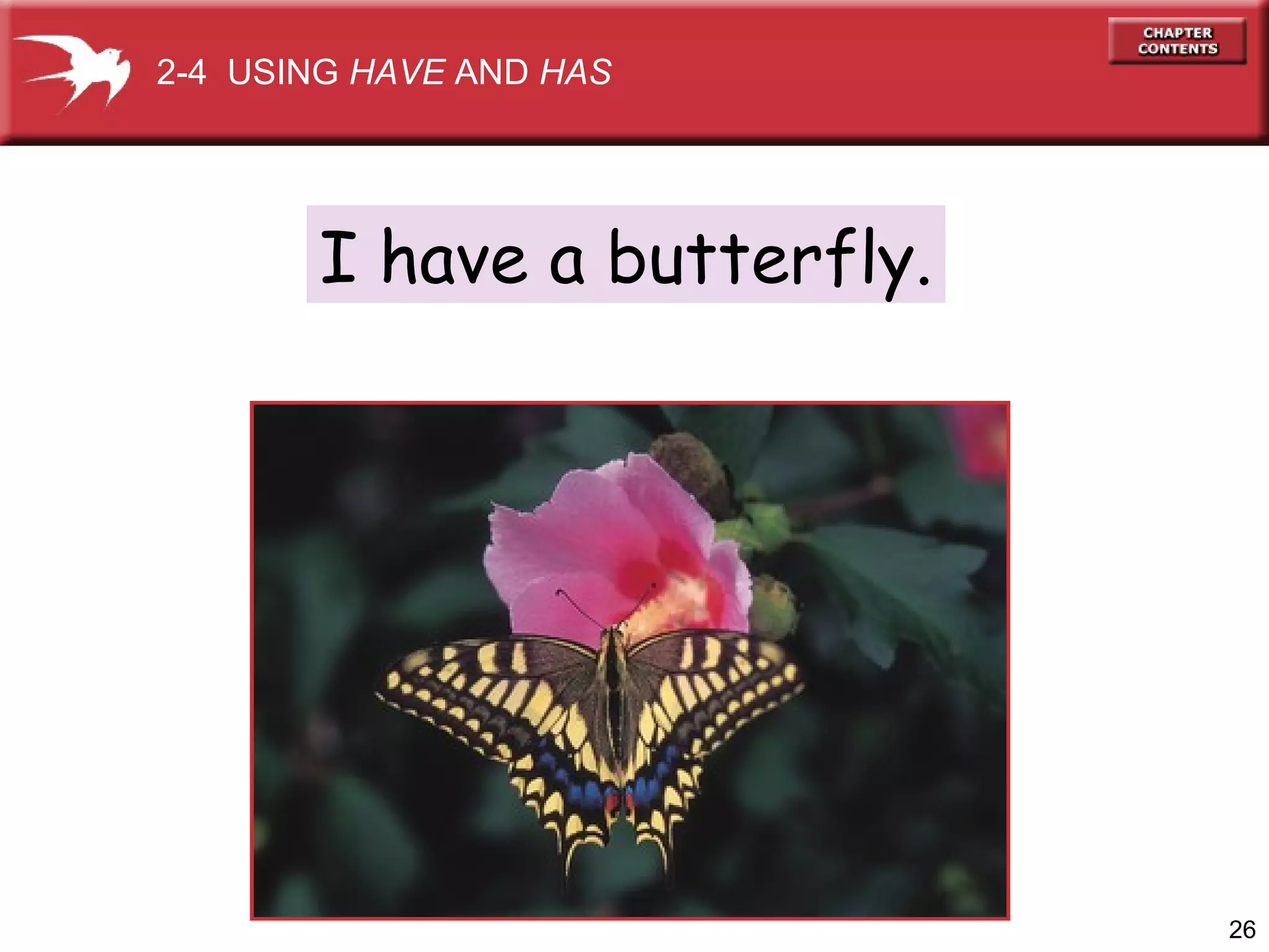 2-4 USING HAVE AND HAS

I have a butterfly.

26

 