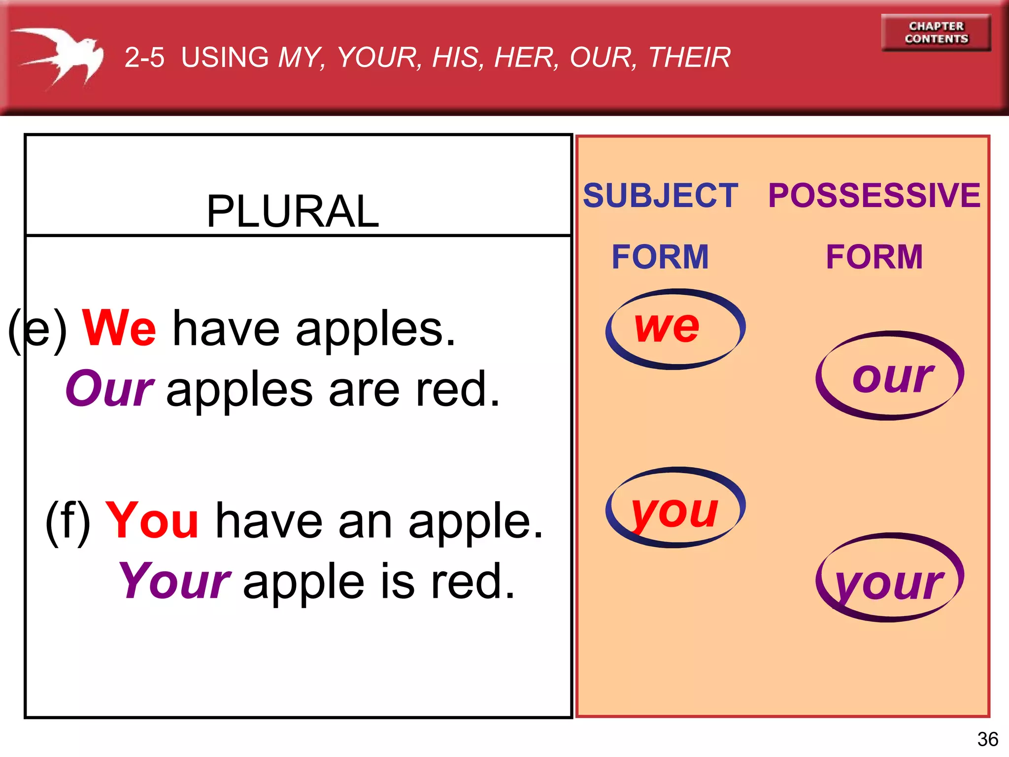 2-5 USING MY, YOUR, HIS, HER, OUR, THEIR

PLURAL

SUBJECT POSSESSIVE
FORM

(e) We have apples.
Our apples are red.
(f) You have an apple.
Your apple is red.

we

FORM

our

you
your
36

 