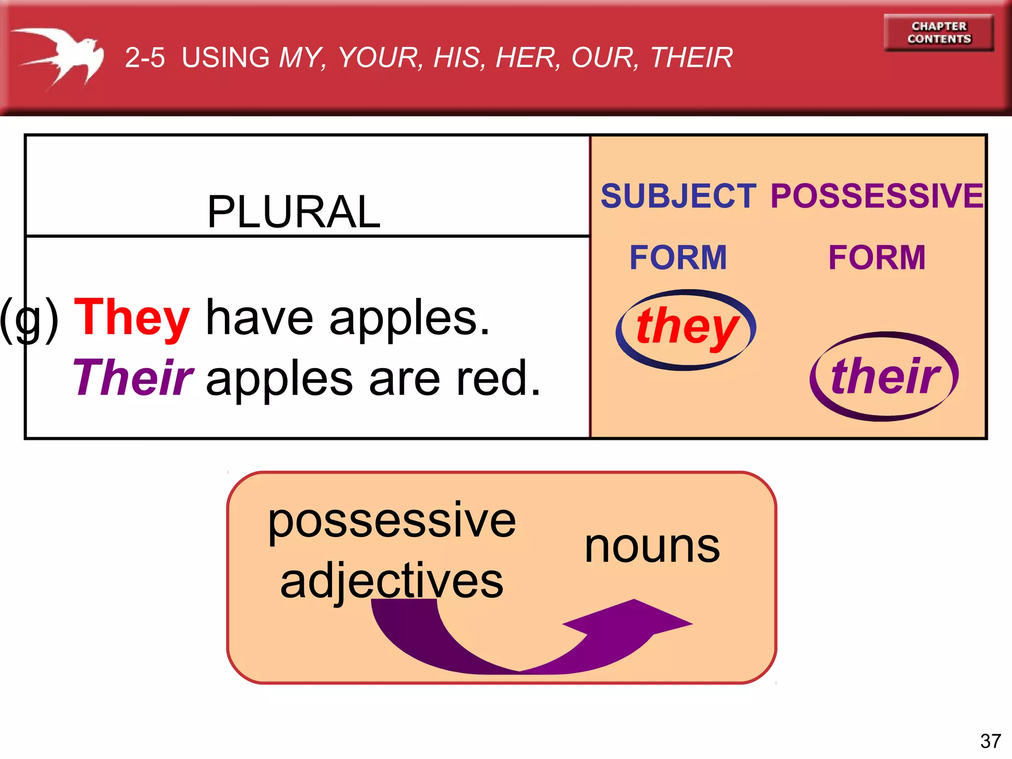 2-5 USING MY, YOUR, HIS, HER, OUR, THEIR

PLURAL

SUBJECT POSSESSIVE
FORM

(g) They have apples.
Their apples are red.
possessive
adjectives

they

FORM

their

nouns

37

 