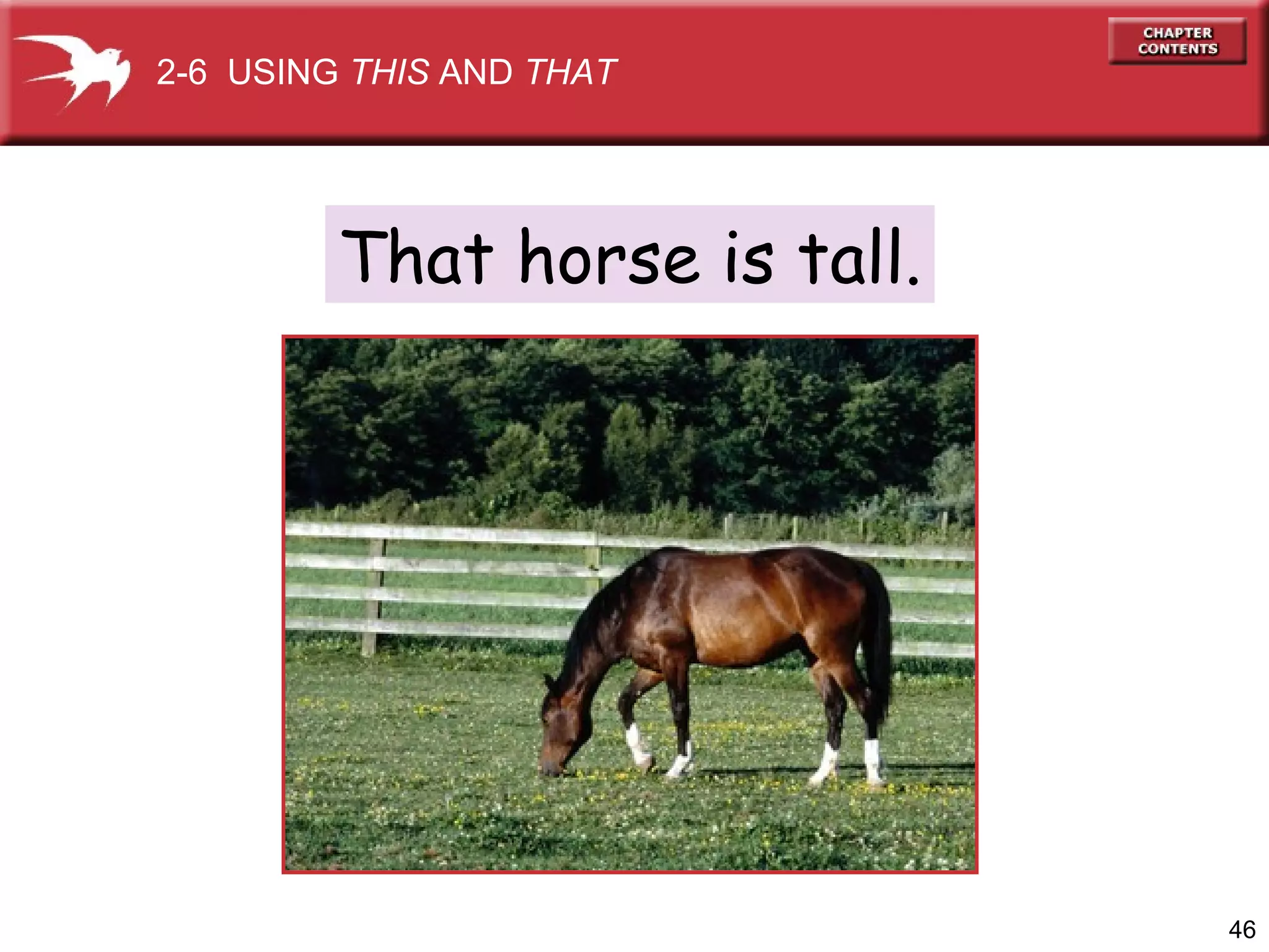 2-6 USING THIS AND THAT

That horse is tall.

46

 