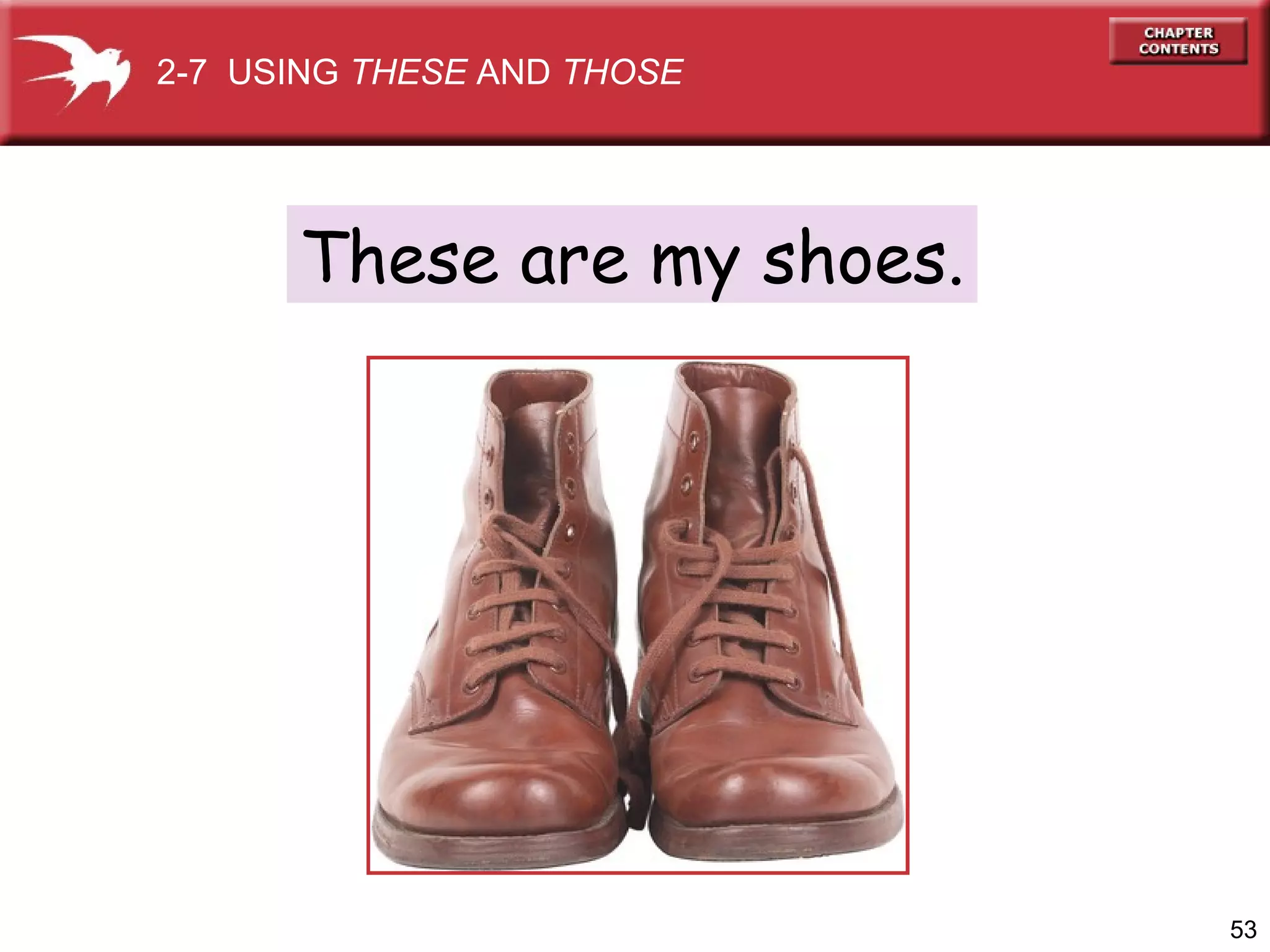 2-7 USING THESE AND THOSE

These are my shoes.

53

 