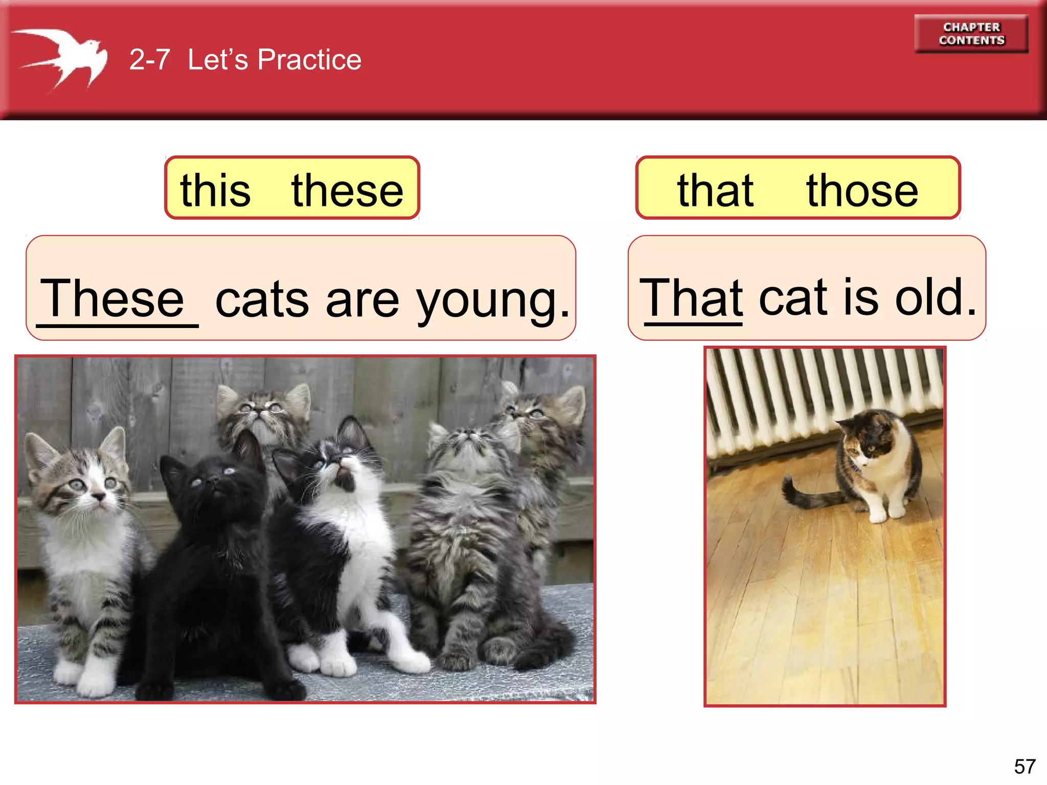 2-7 Let’s Practice

this these

These
_____ cats are young.

that

those

___
That cat is old.

57

 