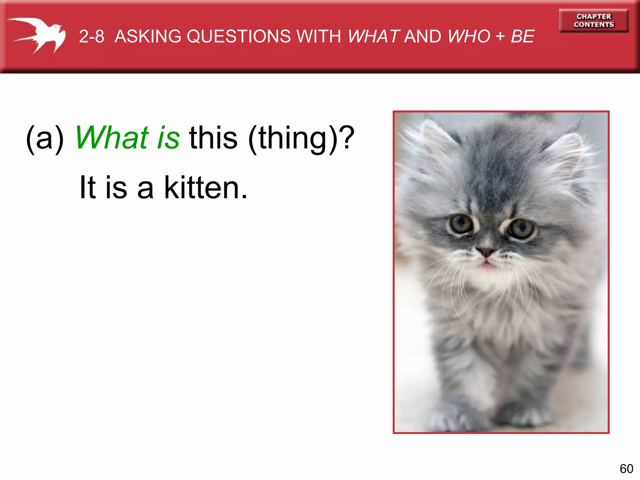 2-8 ASKING QUESTIONS WITH WHAT AND WHO + BE

(a) What is this (thing)?
It is a kitten.

60

 