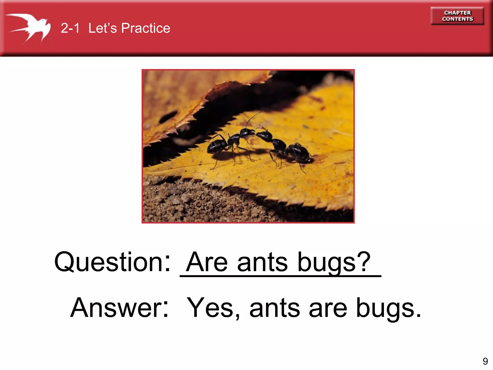 2-1 Let’s Practice

Question: ____________
Are ants bugs?
Answer: Yes, ants are bugs.
9

 