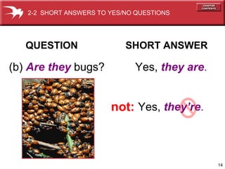 2-2 SHORT ANSWERS TO YES/NO QUESTIONS

QUESTION

(b) Are they bugs?

SHORT ANSWER

Yes, they are.

not: Yes, they’re.

14

 