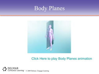 Body Planes

Click Here to play Body Planes animation

© 2009 Delmar, Cengage Learning

 