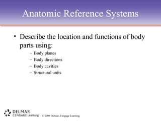 Anatomic Reference Systems
• Describe the location and functions of body
parts using:
–
–
–
–

Body planes
Body directions
Body cavities
Structural units

© 2009 Delmar, Cengage Learning

 