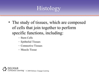 Histology
• The study of tissues, which are composed
of cells that join together to perform
specific functions, including:
–
–
–
–

Stem Cells
Epithelial Tissues
Connective Tissues
Muscle Tissue

© 2009 Delmar, Cengage Learning

 
