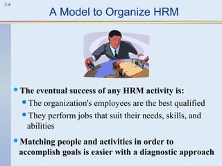 2-6 A Model to Organize HRM 
The eventual success of any HRM activity is: 
The organization's employees are the best qualified 
They perform jobs that suit their needs, skills, and 
abilities 
Matching people and activities in order to 
accomplish goals is easier with a diagnostic approach 
 