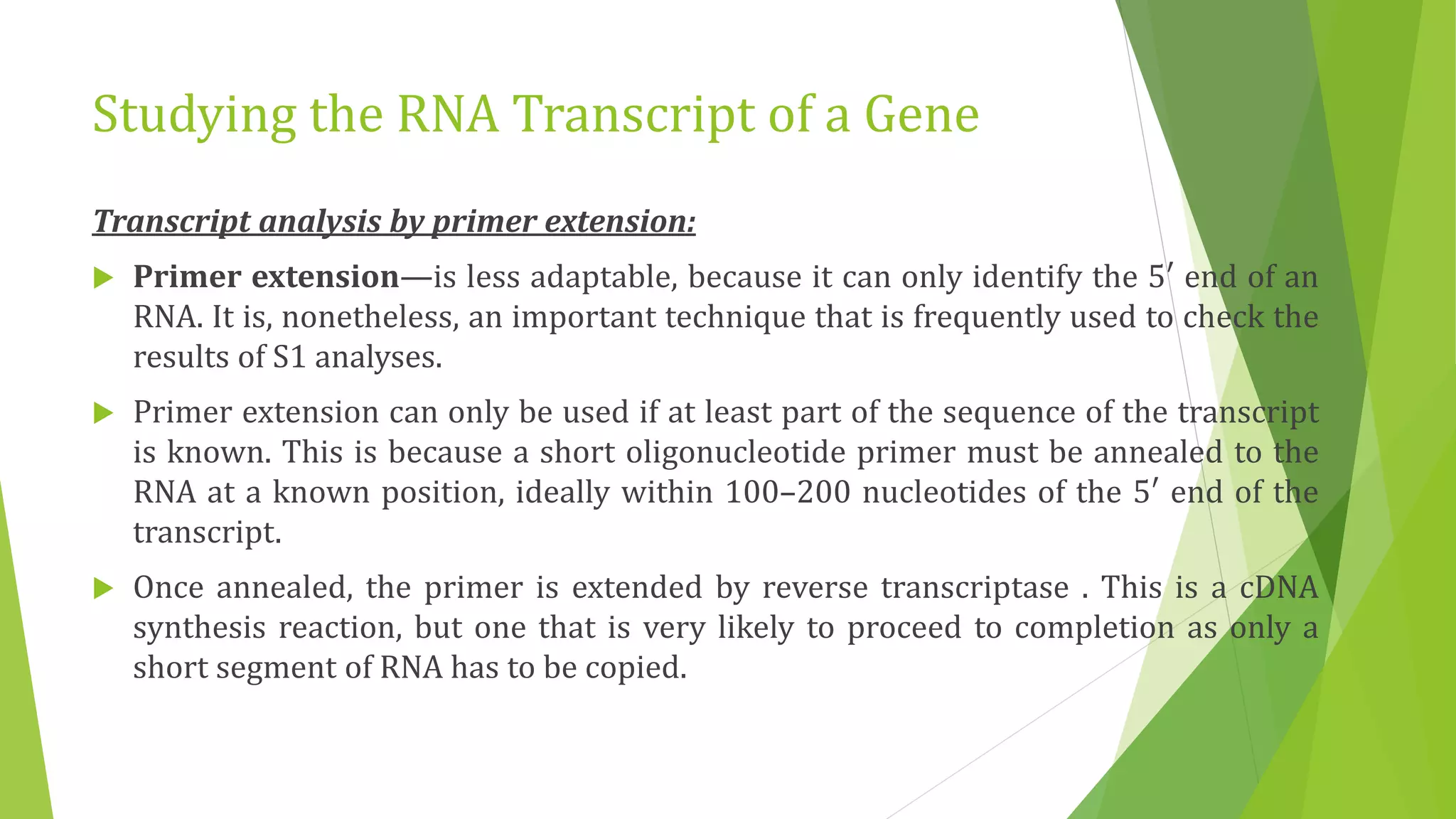 Studying the RNA Transcript of a Gene
Transcript analysis by primer extension:
 Primer extension—is less adaptable, because it can only identify the 5′ end of an
RNA. It is, nonetheless, an important technique that is frequently used to check the
results of S1 analyses.
 Primer extension can only be used if at least part of the sequence of the transcript
is known. This is because a short oligonucleotide primer must be annealed to the
RNA at a known position, ideally within 100–200 nucleotides of the 5′ end of the
transcript.
 Once annealed, the primer is extended by reverse transcriptase . This is a cDNA
synthesis reaction, but one that is very likely to proceed to completion as only a
short segment of RNA has to be copied.
 