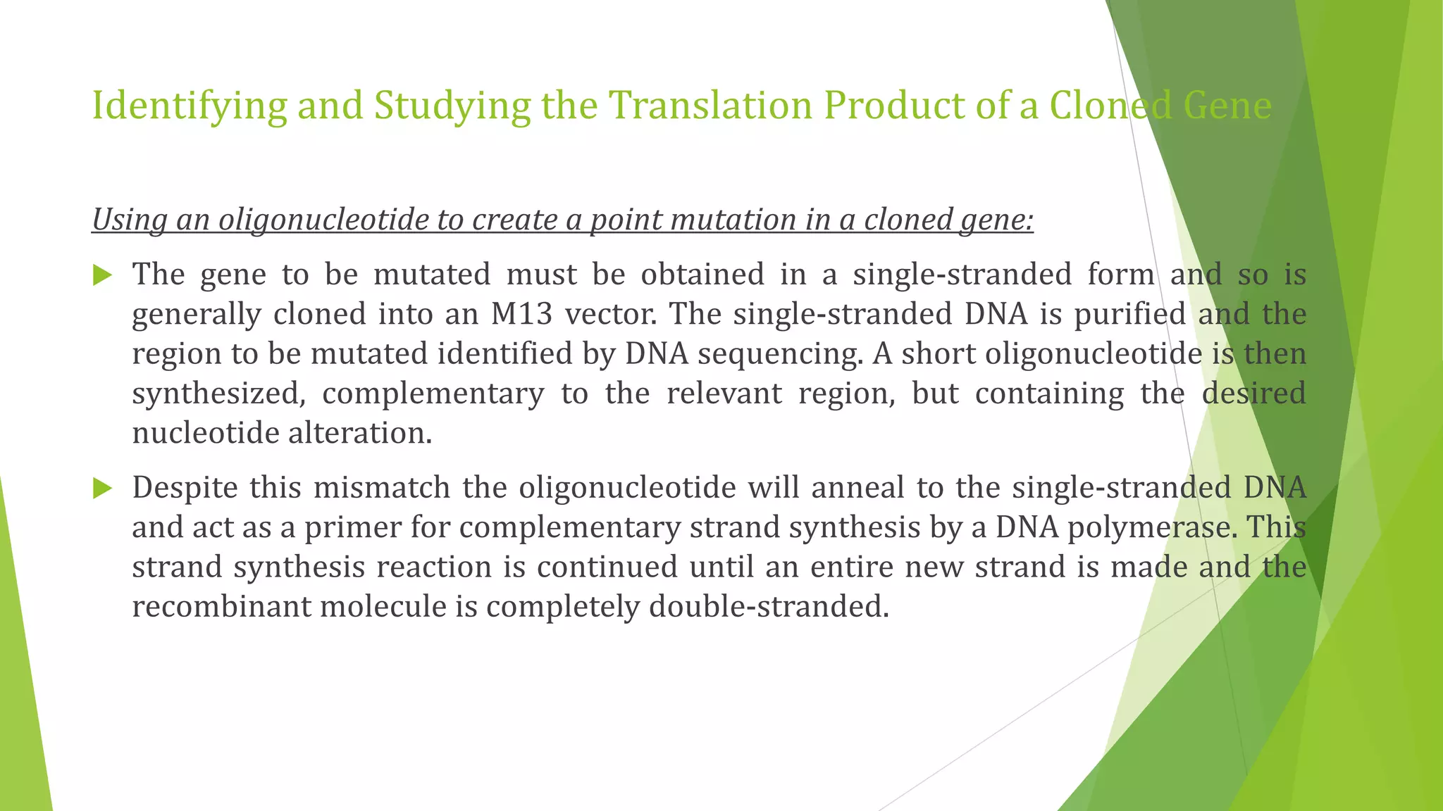 Identifying and Studying the Translation Product of a Cloned Gene
Using an oligonucleotide to create a point mutation in a cloned gene:
 The gene to be mutated must be obtained in a single-stranded form and so is
generally cloned into an M13 vector. The single-stranded DNA is purified and the
region to be mutated identified by DNA sequencing. A short oligonucleotide is then
synthesized, complementary to the relevant region, but containing the desired
nucleotide alteration.
 Despite this mismatch the oligonucleotide will anneal to the single-stranded DNA
and act as a primer for complementary strand synthesis by a DNA polymerase. This
strand synthesis reaction is continued until an entire new strand is made and the
recombinant molecule is completely double-stranded.
 