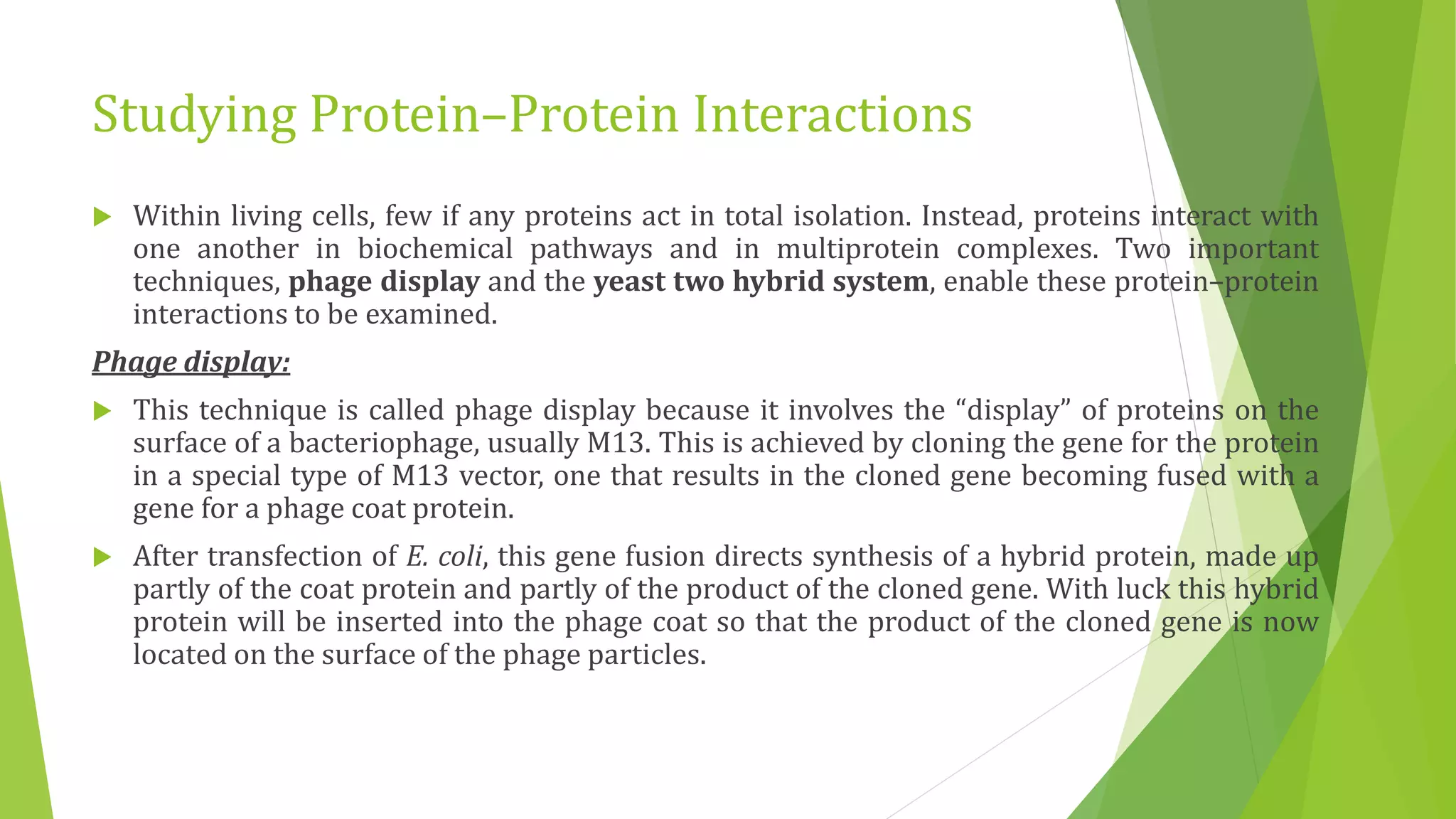 Studying Protein–Protein Interactions
 Within living cells, few if any proteins act in total isolation. Instead, proteins interact with
one another in biochemical pathways and in multiprotein complexes. Two important
techniques, phage display and the yeast two hybrid system, enable these protein–protein
interactions to be examined.
Phage display:
 This technique is called phage display because it involves the “display” of proteins on the
surface of a bacteriophage, usually M13. This is achieved by cloning the gene for the protein
in a special type of M13 vector, one that results in the cloned gene becoming fused with a
gene for a phage coat protein.
 After transfection of E. coli, this gene fusion directs synthesis of a hybrid protein, made up
partly of the coat protein and partly of the product of the cloned gene. With luck this hybrid
protein will be inserted into the phage coat so that the product of the cloned gene is now
located on the surface of the phage particles.
 
