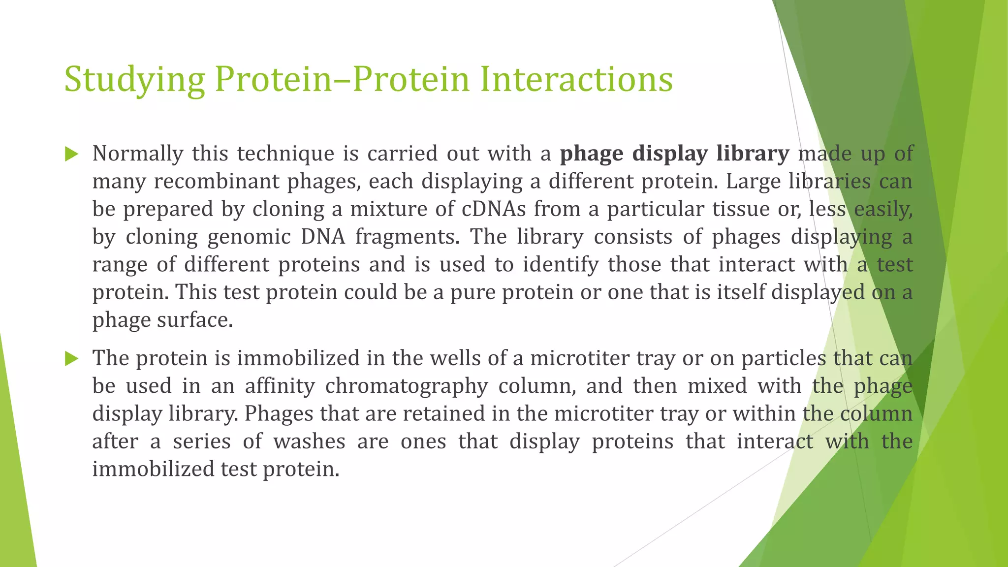 Studying Protein–Protein Interactions
 Normally this technique is carried out with a phage display library made up of
many recombinant phages, each displaying a different protein. Large libraries can
be prepared by cloning a mixture of cDNAs from a particular tissue or, less easily,
by cloning genomic DNA fragments. The library consists of phages displaying a
range of different proteins and is used to identify those that interact with a test
protein. This test protein could be a pure protein or one that is itself displayed on a
phage surface.
 The protein is immobilized in the wells of a microtiter tray or on particles that can
be used in an affinity chromatography column, and then mixed with the phage
display library. Phages that are retained in the microtiter tray or within the column
after a series of washes are ones that display proteins that interact with the
immobilized test protein.
 