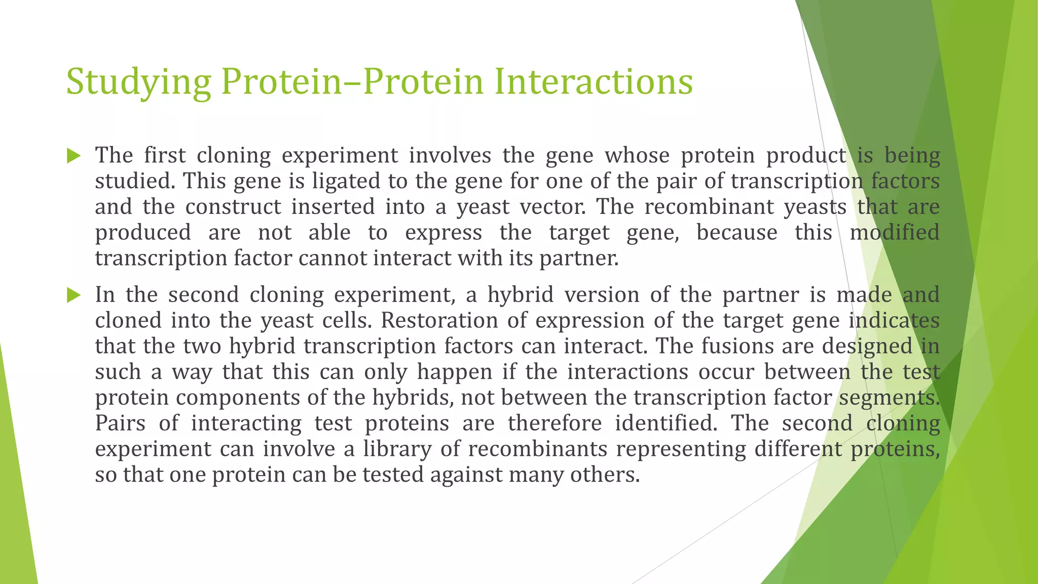 Studying Protein–Protein Interactions
 The first cloning experiment involves the gene whose protein product is being
studied. This gene is ligated to the gene for one of the pair of transcription factors
and the construct inserted into a yeast vector. The recombinant yeasts that are
produced are not able to express the target gene, because this modified
transcription factor cannot interact with its partner.
 In the second cloning experiment, a hybrid version of the partner is made and
cloned into the yeast cells. Restoration of expression of the target gene indicates
that the two hybrid transcription factors can interact. The fusions are designed in
such a way that this can only happen if the interactions occur between the test
protein components of the hybrids, not between the transcription factor segments.
Pairs of interacting test proteins are therefore identified. The second cloning
experiment can involve a library of recombinants representing different proteins,
so that one protein can be tested against many others.
 
