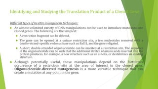 Studying gene expression and function | PPTX